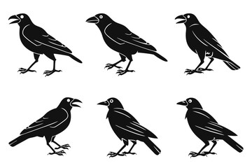Minimalist jackdaw bird icon set with black and yellow accents