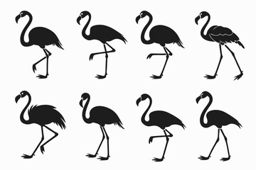 Obraz premium Flat style flamingo icons set minimal design