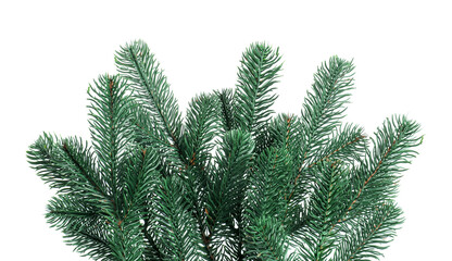 Branch of artificial fir tree isolated on white. Christmas decor