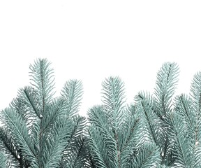 Branch of artificial fir tree on white background, space for text. Christmas decor