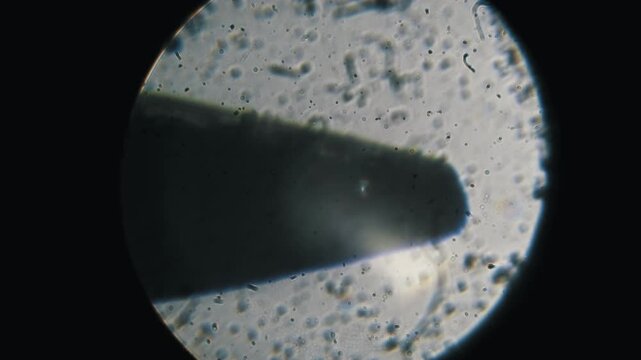 Extreme close needle point moving under an optical microscope. The sharp tool tip is in a liquid suspension with particles for manufacturing control or scientific research on a black background.