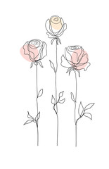 Rose flower set. Continuous line drawing.