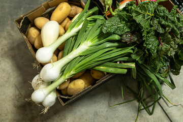 Fresh organic vegetables just harvested from the field at the local market