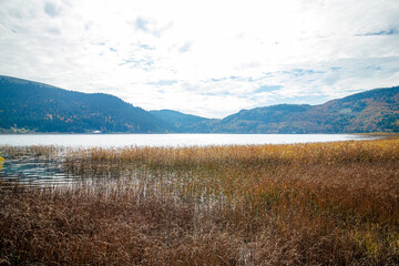 autumn landscape with Abant lake, Bolu