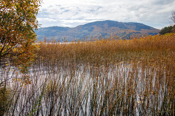 autumn landscape with Abant lake, Bolu