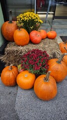 Bright autumn display of orange pumpkins and colorful chrysanthemums arranged on hay outside a building. The image represents fall harvest, seasonal decoration, and festive outdoor atmosphere
