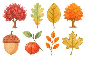 PNG Autumn leaves acorn pumpkin illustration, element set on transparent background
