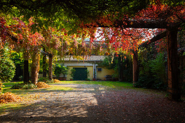 Naklejka premium Scenic courtyard surrounded by red and golden leaves creating a peaceful autumn atmosphere under warm natural sunlight.