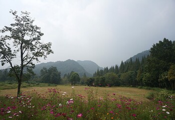 autumn in the mountains