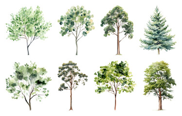 Obraz premium PNG Diverse watercolor tree illustrations, element set on transparent background