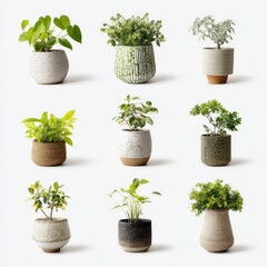 Array of Potted Plants: A collection of diverse potted plants, each showcasing unique foliage and textures, arranged in an aesthetic display. 