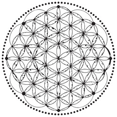 Flower of life pattern with circles and dots, isolated on white background, creating a sacred geometry and spiritual symbol