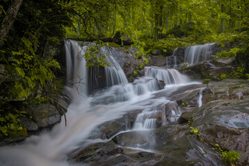 Fototapeta premium riwer