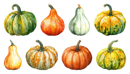 PNG Colorful watercolor pumpkins illustration, element set on transparent background