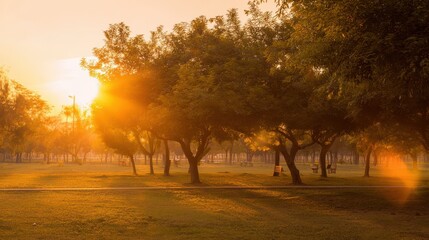 blurred. Tranquil park at sunset with warm golden hues, creating a peaceful natural landscape. inspiring travel planning, travel magazines, designed for travel destination branding.
