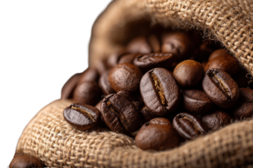 A bag of coffee beans is spread out on a table. The beans are of different sizes and are scattered all over the bag