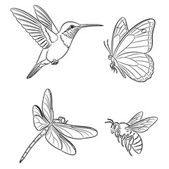 Delicate line art of flying creatures — hummingbird, butterfly, dragonfly, bee — graceful minimalist vector illustration set