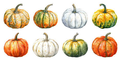 PNG Colorful watercolor pumpkins illustration, element set on transparent background