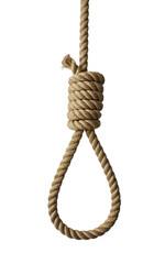 Realistic 3D model of twisted hemp rope png &mdash; precise fiber detail, warm tone, transparent background for professional material rendering.