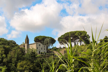Santuario della Madonna delle  Grazie tra alberi cielo e altra vegetazione a Pitigliano