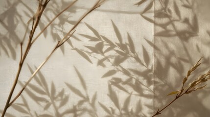 Fototapeta premium Sharp detailed leaf shadows on woven cotton surface, soft beige natural minimalist background