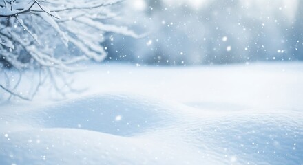 Fototapeta premium Serene winter wonderland scene with softly falling snowflakes over a pristine snow-covered landscape and frosted tree branches