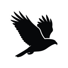 Majestic black hawk silhouette soaring in flight powerful raptor wings spread wide dynamic action