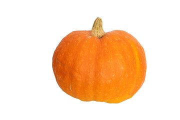 Vibrant orange pumpkin against black background