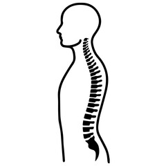 Human Spine Outline