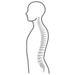 Human spine diagram