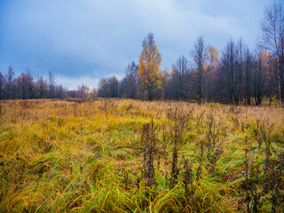 Fototapeta premium autumn landscape sky clouds grass trees