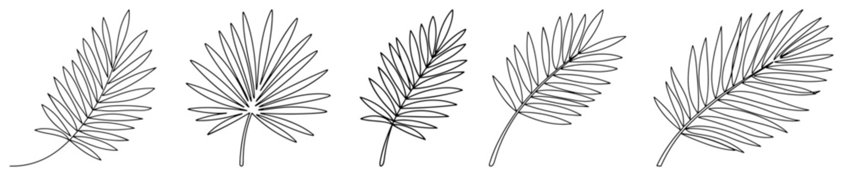Palm leaf silhouette border set vector &ndash; tropical frond collection for pattern design