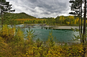 Russia. The South of Western Siberia, the Altai Mountains. Picturesque view of the rocky shore of the Katun River in autumn colors near the village of Manzherok.