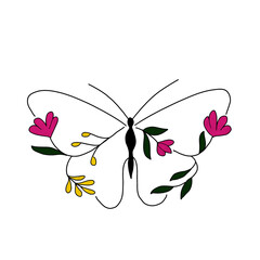 butterfly vector illustration