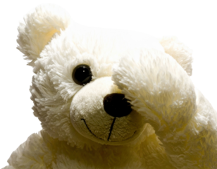 A cute, fluffy white teddy bear playfully covering its eyes, evoking a sense of innocence and charm against a dark background.
