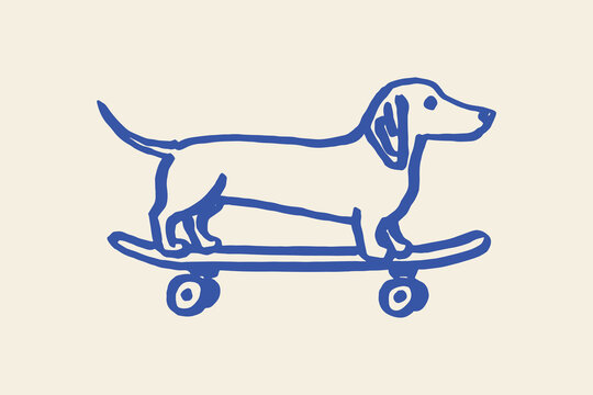 dachshund on skateboard naive hand-drawn sketch line art vector illustration