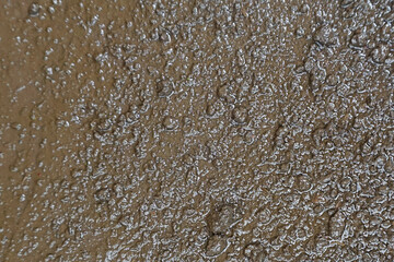 Obraz premium Detailed Texture of Wet Soil Surface in the Garden After Rain, Showing Moist Mud and Natural Earth Texture. Great for Backgrounds, Environment, and Texture Overlays.