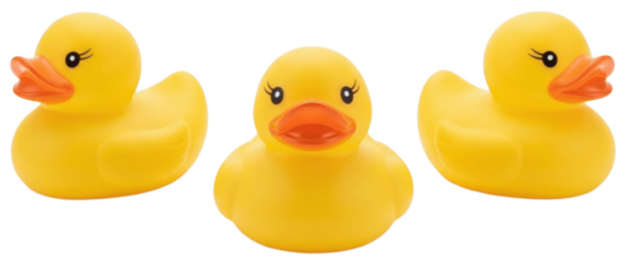 yellow rubber duck on white