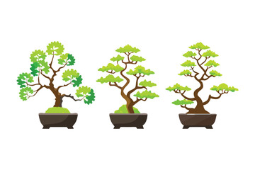 Serene Bonsai Collection: A collection of meticulously shaped bonsai trees, each a miniature masterpiece of nature, evokes tranquility and the art of cultivation.