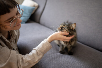 Happy woman pet owner sitting beside sofa smiling and stroking her domestic cat on couch in living...