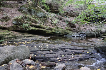 A small brook running through a forest carved into a rock bed with gentle sloping waterfalls.