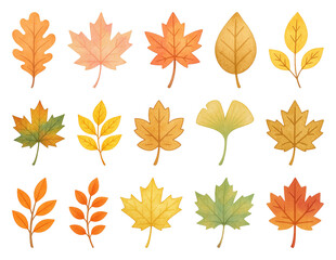 Fototapeta premium PNG Colorful autumn leaves illustration, element set on transparent background