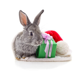 Gray rabbit with Christmas gift in Santa hat isolated on white.