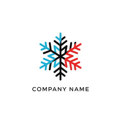 Modern Snowflake Logo Design with Colorful Accents.