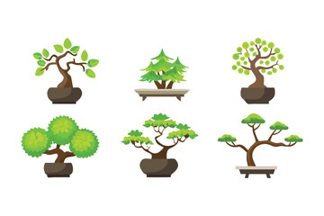 Fototapeta premium Bonsai Collection: A collection of various bonsai trees showcasing the artistry of cultivating miniature trees in pots, each reflecting the meticulous care and unique aesthetic of this ancient art.