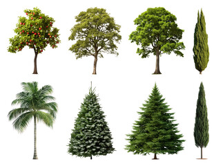 Obraz premium PNG Diverse trees for natural beauty, element set on transparent background