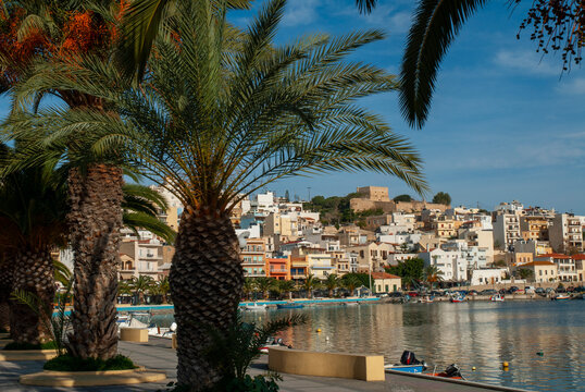 Sitia Harbor View with Palm Trees and Venetian Fortress, Crete