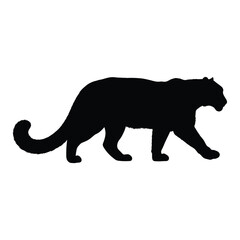 Obraz premium Silhouette of a panther, showcasing its sleek body and powerful muscles, a melanistic color variant of several species of wild cat