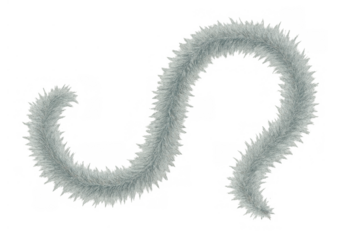 Fluffy gray fur boa forming a wavy line on a transparent background, showcasing soft texture and elegance