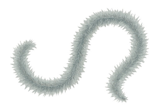 Fluffy gray fur boa forming a wavy line on a transparent background, showcasing soft texture and elegance